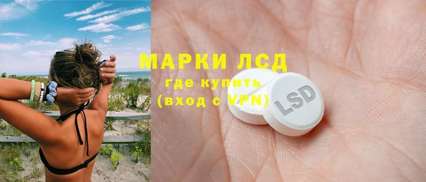 крисы Новодвинск