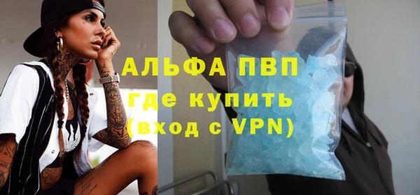 крисы Новодвинск