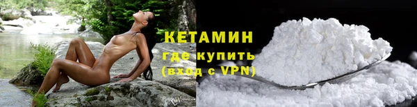 крисы Новодвинск