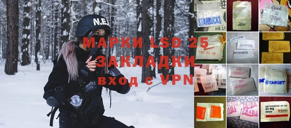 крисы Новодвинск