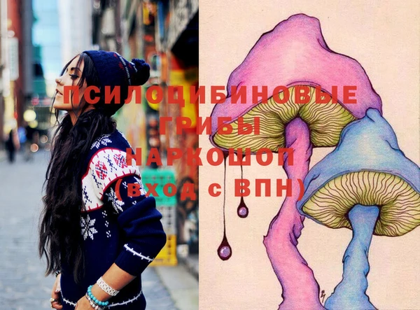 крисы Новодвинск