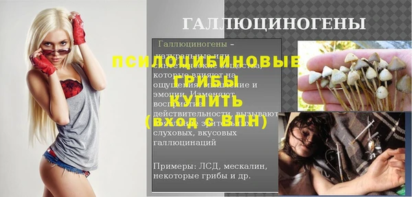 крисы Новодвинск