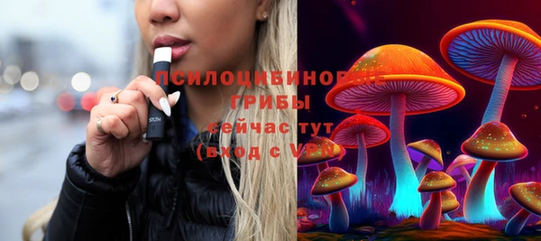 гидропоника Новозыбков