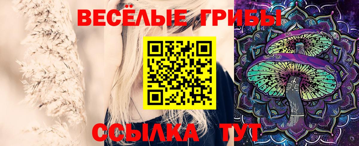 где можно купить наркотик  Галлюциногенные грибы MAGIC MUSHROOMS  Вход с VPN  Стрежевой 